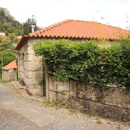 Douro Senses - Village House Cinfaes Ngoại thất bức ảnh