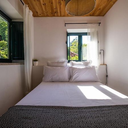 Douro Senses - Village House Cinfaes Ngoại thất bức ảnh