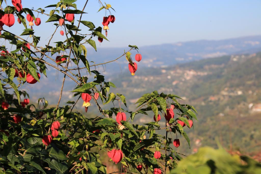 Douro Senses - Village House Cinfaes Phòng bức ảnh
